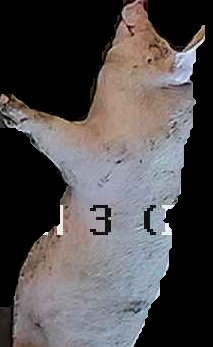 Crop