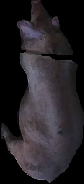 Crop