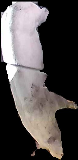 Crop