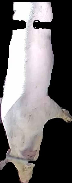 Crop