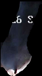 Crop