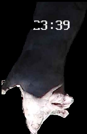 Crop