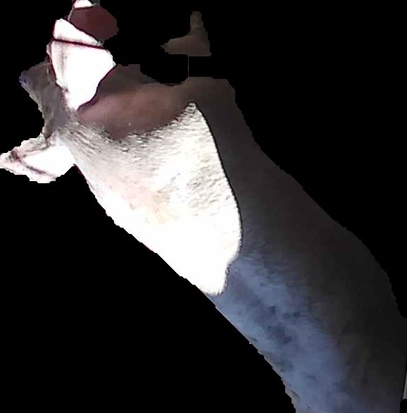 Crop