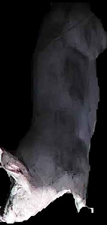 Crop