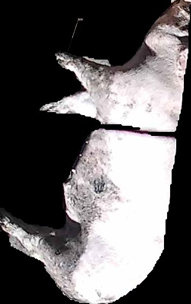 Crop