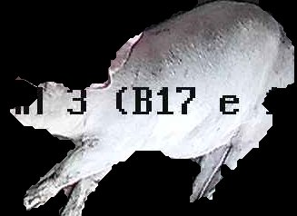 Crop