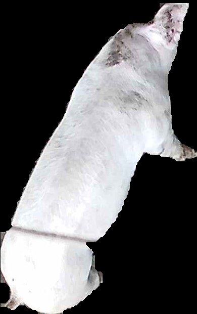 Crop
