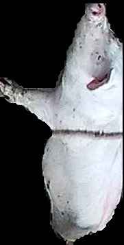 Crop