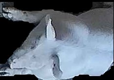 Crop