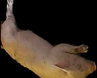 Crop