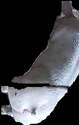 Crop