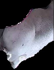 Crop