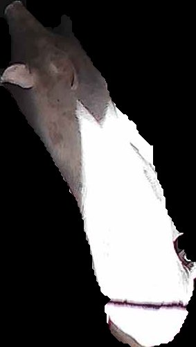 Crop