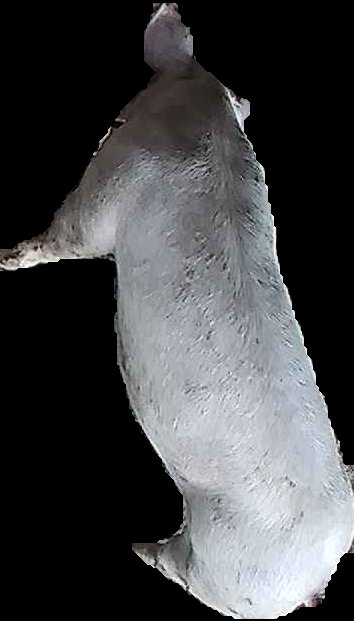 Crop