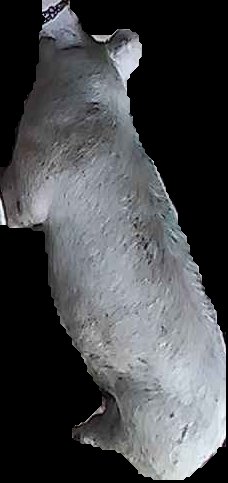 Crop