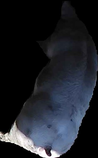 Crop