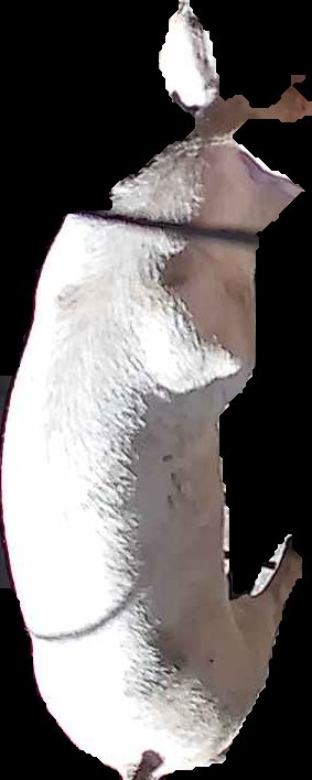 Crop