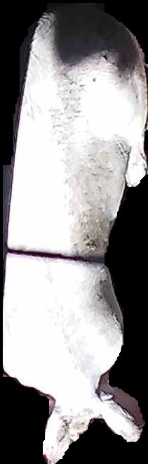 Crop