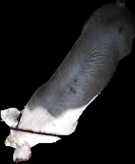 Crop