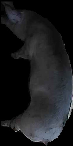 Crop