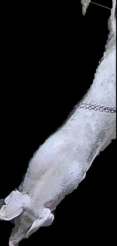 Crop