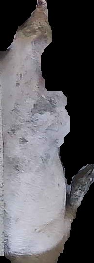 Crop