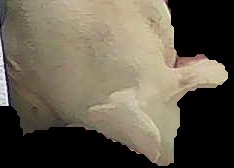 Crop