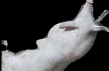 Crop