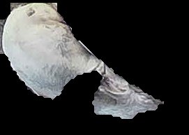 Crop