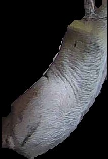 Crop