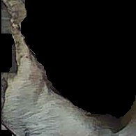 Crop