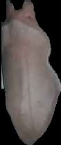 Crop
