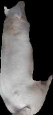 Crop