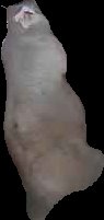 Crop