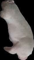 Crop