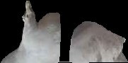 Crop