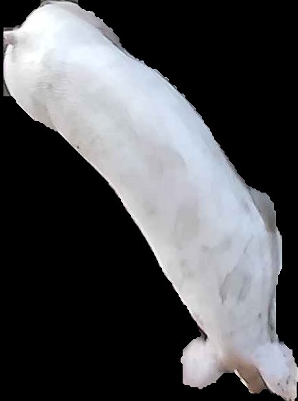 Crop