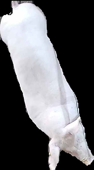 Crop