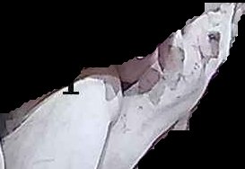 Crop