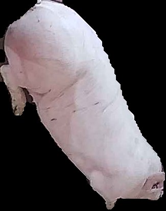 Crop
