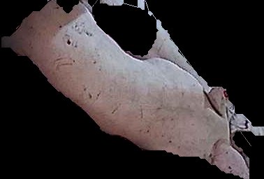 Crop