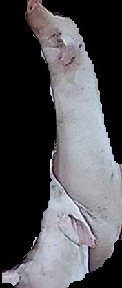 Crop