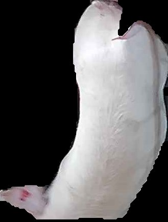 Crop