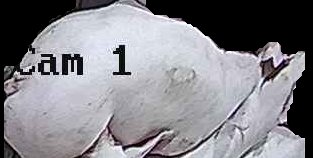 Crop