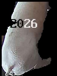 Crop