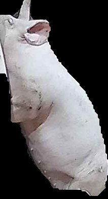 Crop