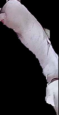 Crop