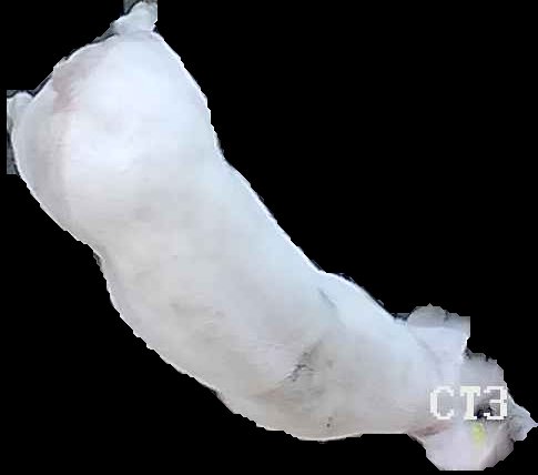 Crop