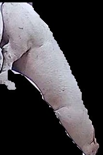 Crop