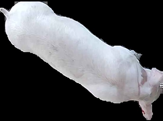 Crop
